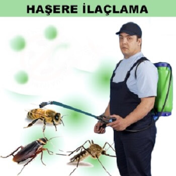 Afyonkarahisar Böcek İlaçlama
